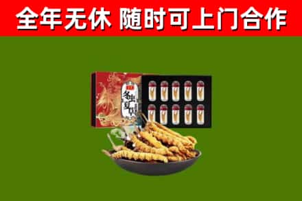 富锦市回收冬虫夏草价格